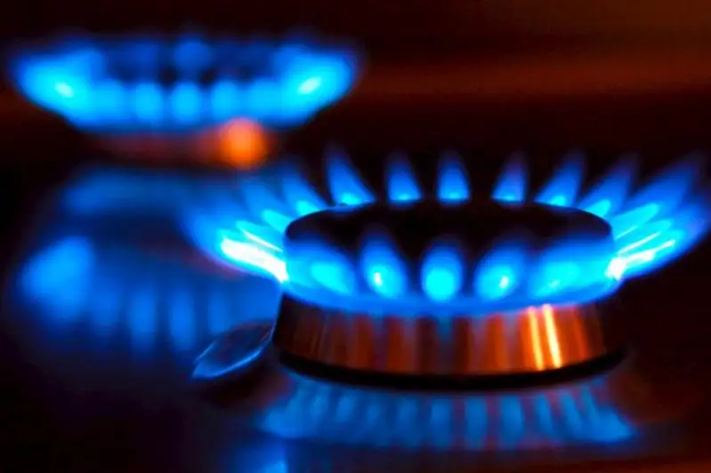 В 2020 году уровень газификации страны должен составить не менее 52% - Роман Скляр