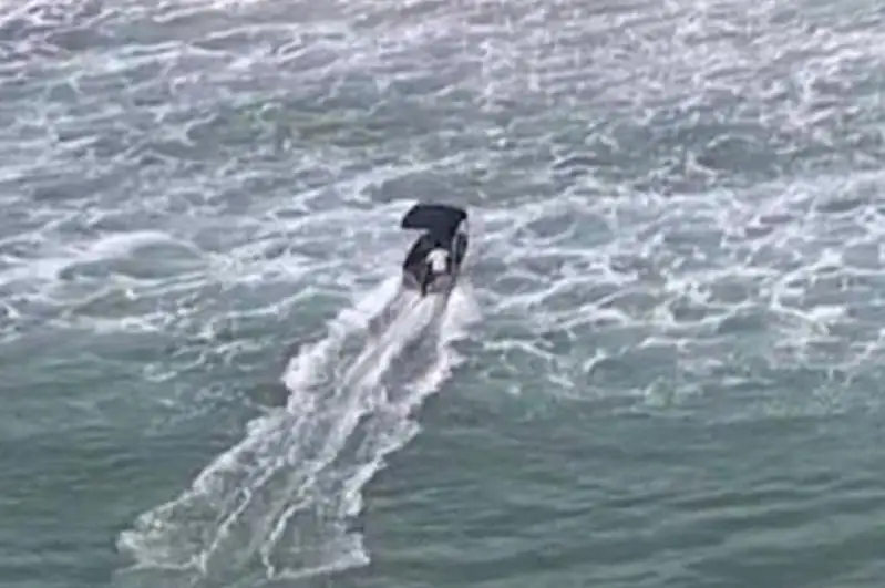 Австралийца оштрафовали за спасение кита, запутавшегося в сетях