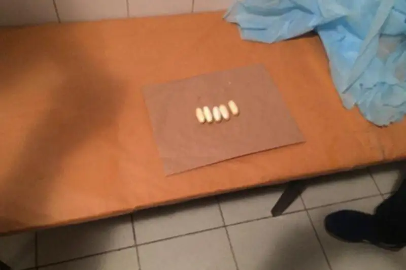 Транзитный канал контрабанды кокаина из Бразилии пресекли в Алматы