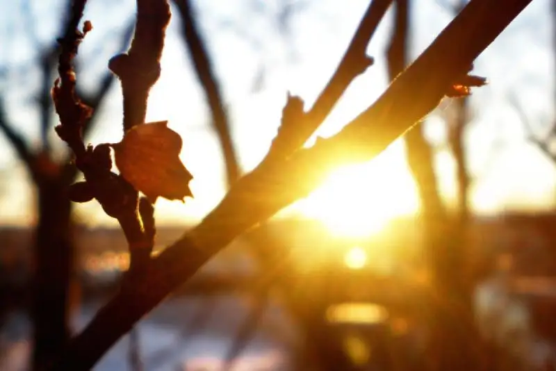 Теплая погода установится в выходные в Казахстане