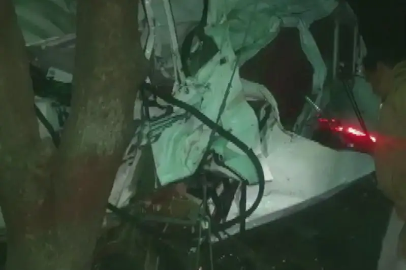 12 человек погибли в жутком ДТП  из-за быка в Индии