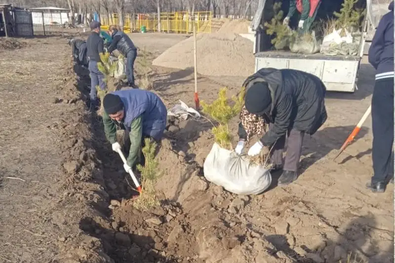 300 деревьев высадили в карагандинском зоопарке