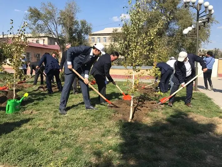До 1 млн новых деревьев будет высажено в Казахстане
