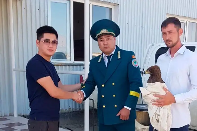 Краснокнижного орла спасают в Атырау