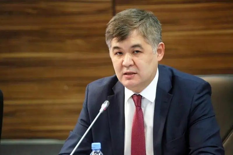 Прошу сохранять спокойствие - Елжан Биртанов о деле врачей в Алматы