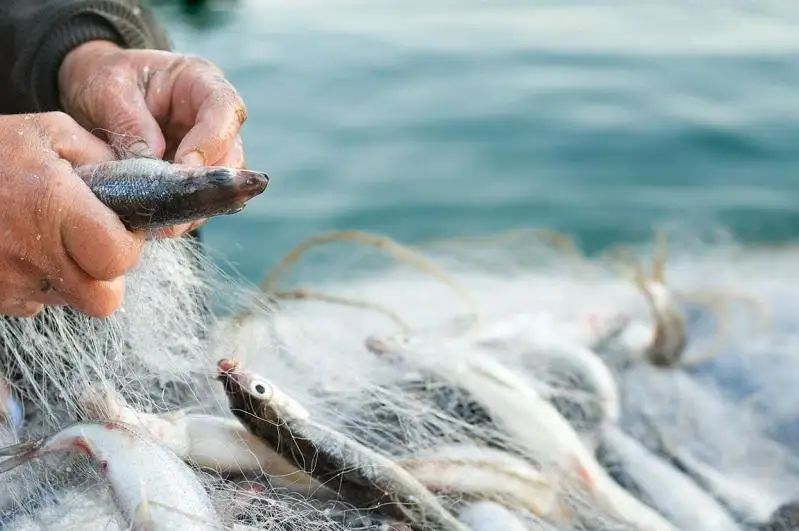 В Коргалжынском заповеднике задержали браконьеров