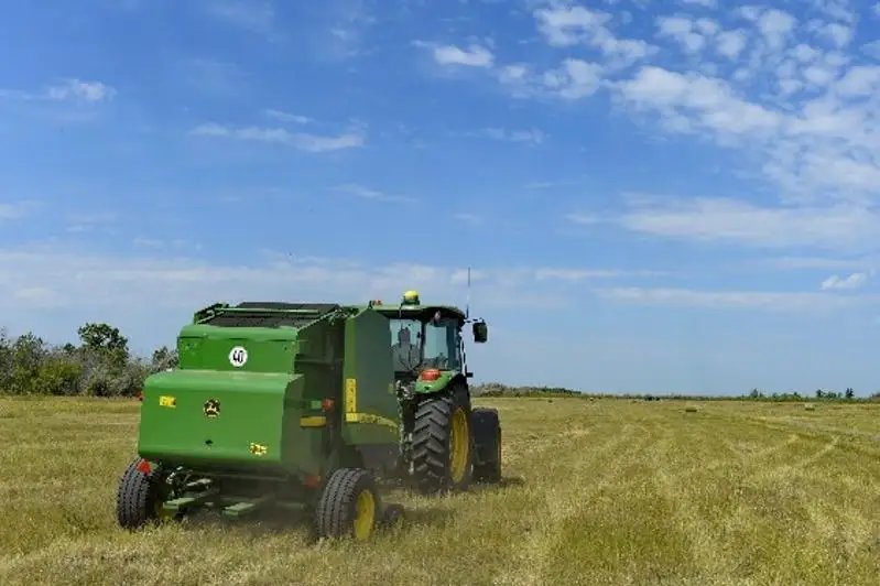 500 тысяч га земель планируют вовлечь в сельхозоборот в Павлодарской области