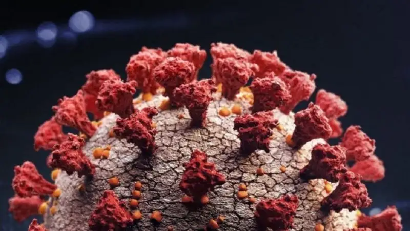 Коронавирус в мире: повторное заражение тяжелее первого, ВОЗ против идеи группового иммунитета