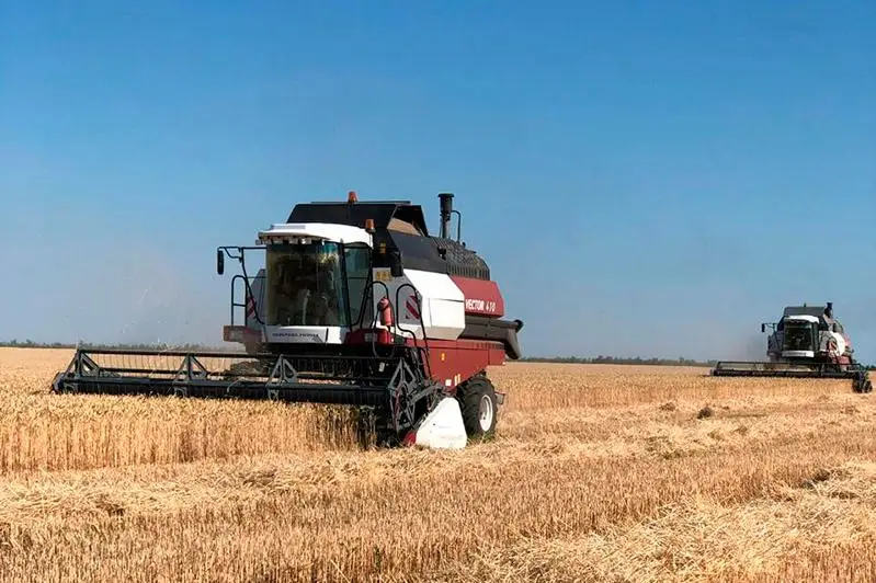 На 60 тысяч га планируют увеличить посевные площади в Таскалинском районе ЗКО