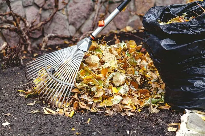Осенний экологический месячник стартовал в столице