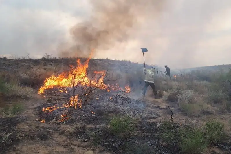 Бердибек Сапарбаев поручил усилить меры по профилактике природных пожаров