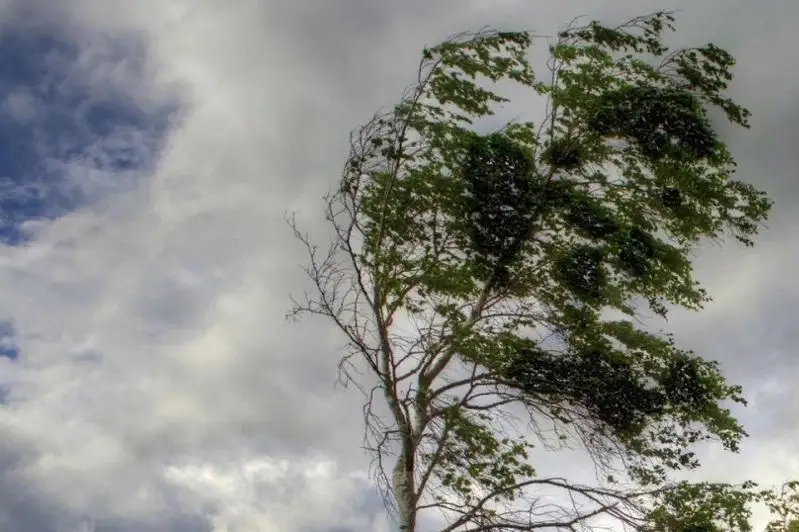 Сильный ветер ожидается в ряде регионов Казахстана