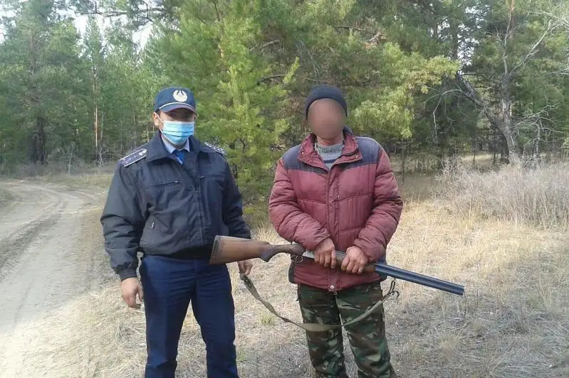 Браконьера, охотившегося на тетерева, задержали в резервате «Семей Орманы»