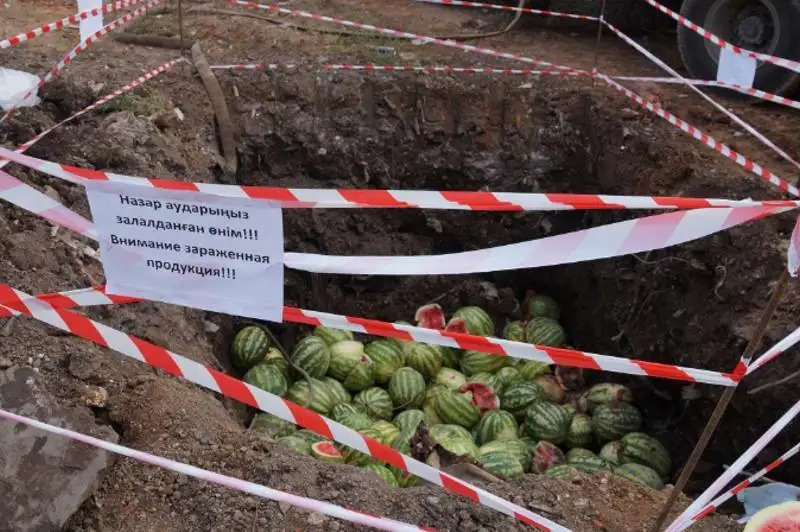 Зараженные арбузы уничтожили в Нур-Султане