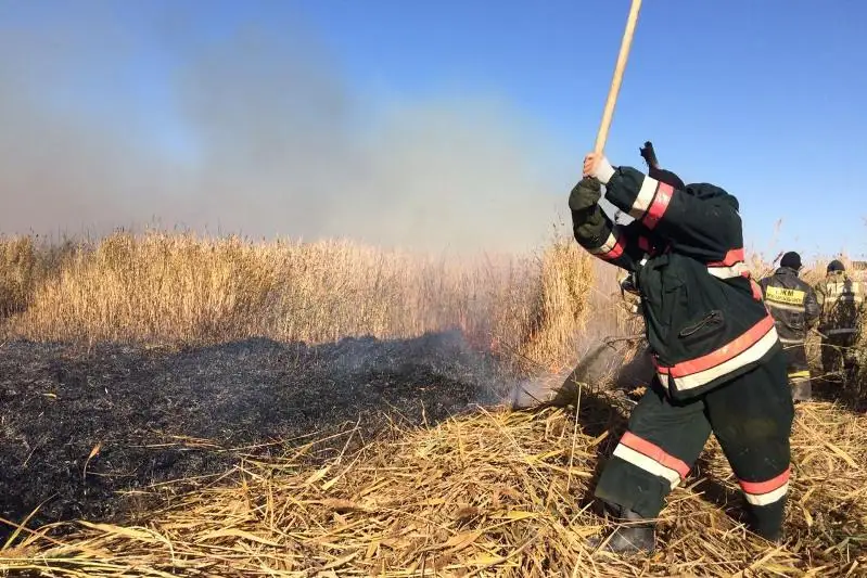 Возгорание камыша ликвидировали в Атырауской области