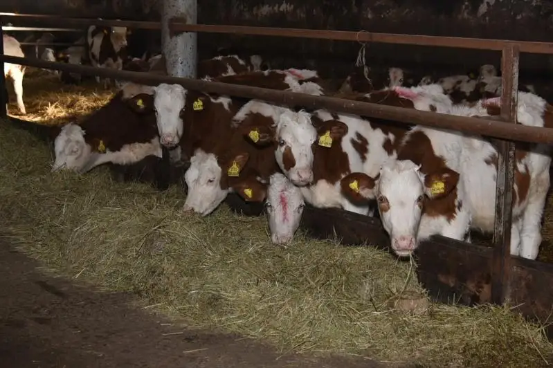 Новые сельхозобъекты открыли в Акмолинской области