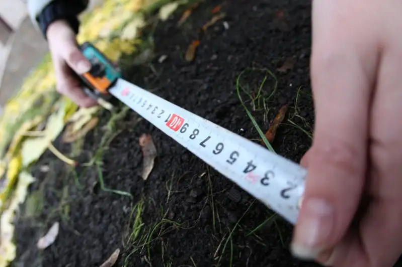 До 300 тысяч га планируют увеличить площадь орошаемых земель в Кызылординской области