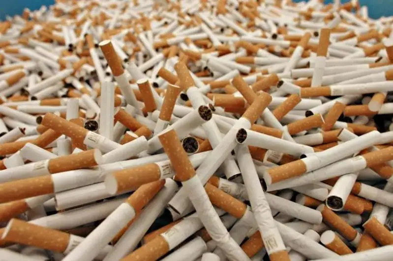 12 тонн контрабандных товаров уничтожены в Алматинской области