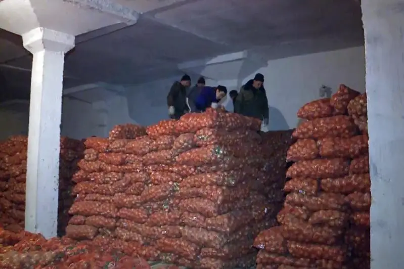 Рост цен на продукты в Костанайской области сдерживают за счет стабфонда