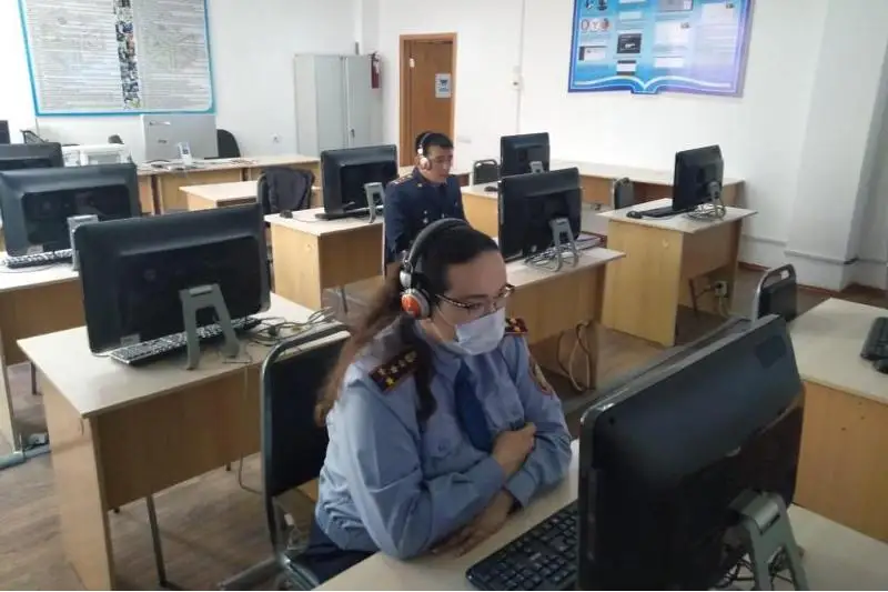 Онлайн-занятие о расследовании уголовных дел по ДТП провели в Алматинской области