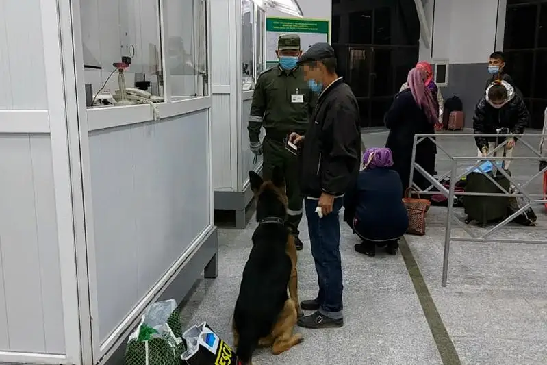 Более 200 правонарушений в области охраны границы РК пресечено Пограничной службой КНБ