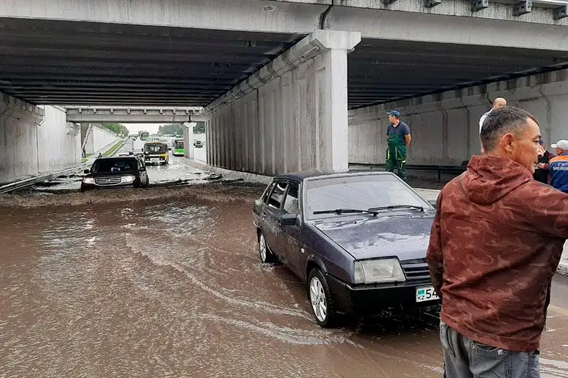 Непогода в Семее: дождь затопил улицы, ветер повалил деревья