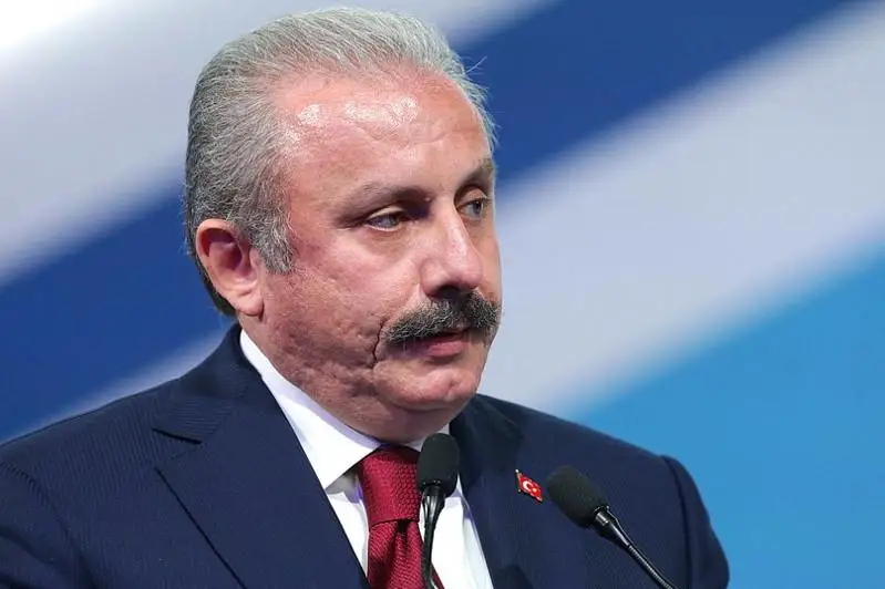 О роли парламентской дипломатии рассказал спикер Великого национального собрания Турции