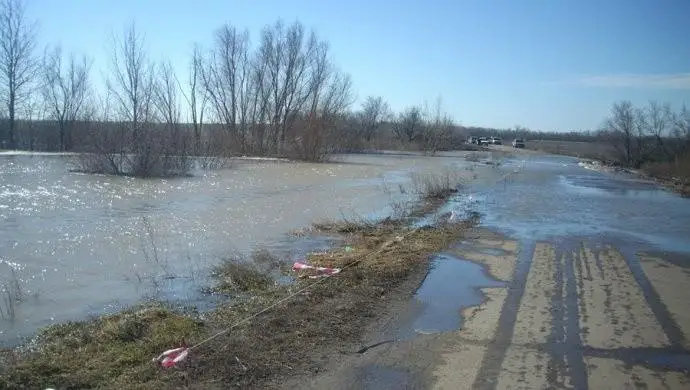 Захотевшего порыбачить за карантинной зоной столицы водителя арестовали на 15 суток
