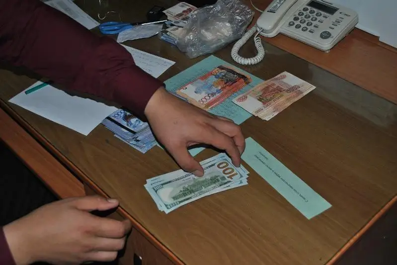 Более 100 квартир обошли полицейские в поисках украденных 10 млн тенге в Рудном