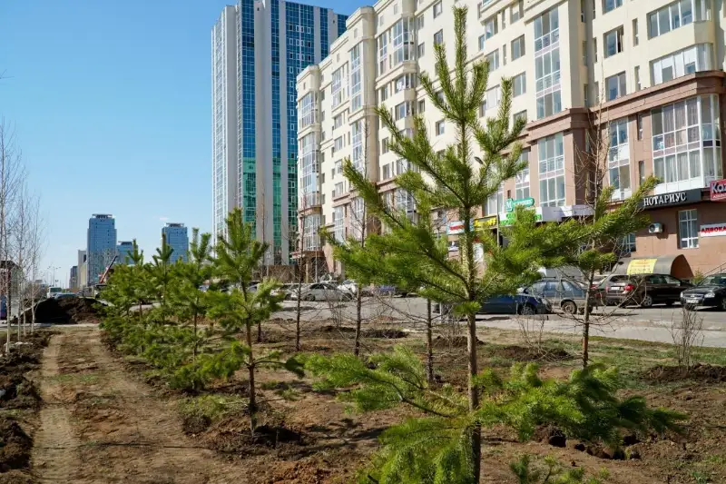 Около 80 тысяч зеленых насаждений высадят в этом году в столице