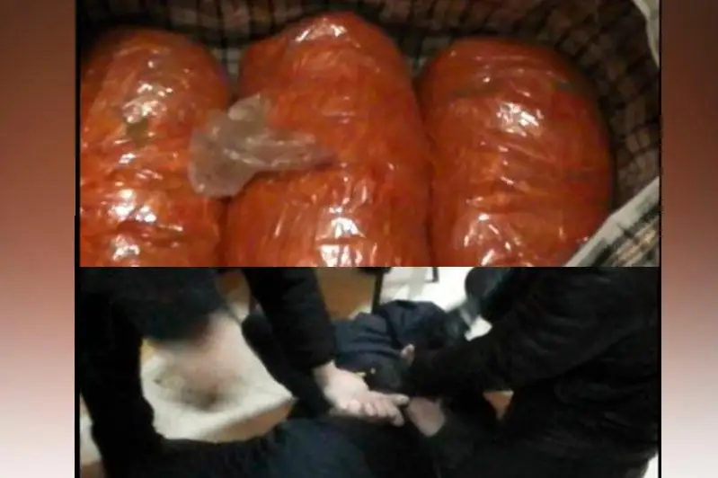 Региональный канал поставки марихуаны пресекли в Павлодаре