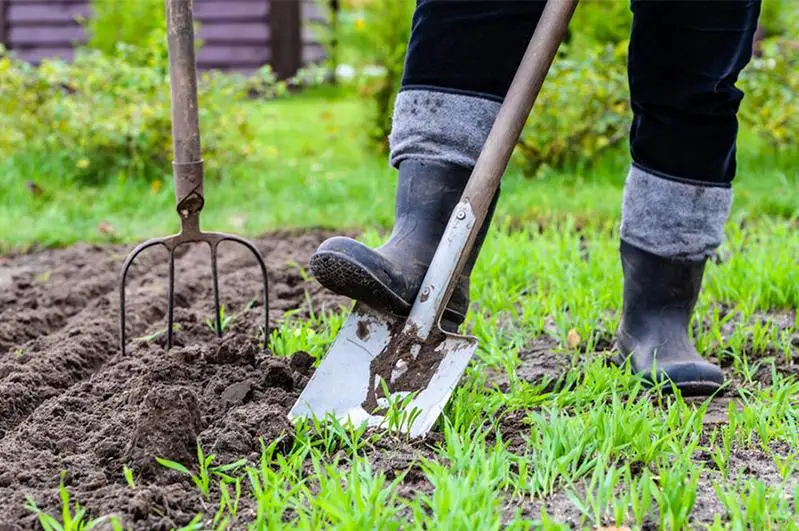 Столичные дачники хотят начать садовые работы – что будет делать акимат