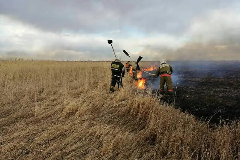 Как сотрудники ЧС работают во время пандемии – интервью с Владимиром Беккером