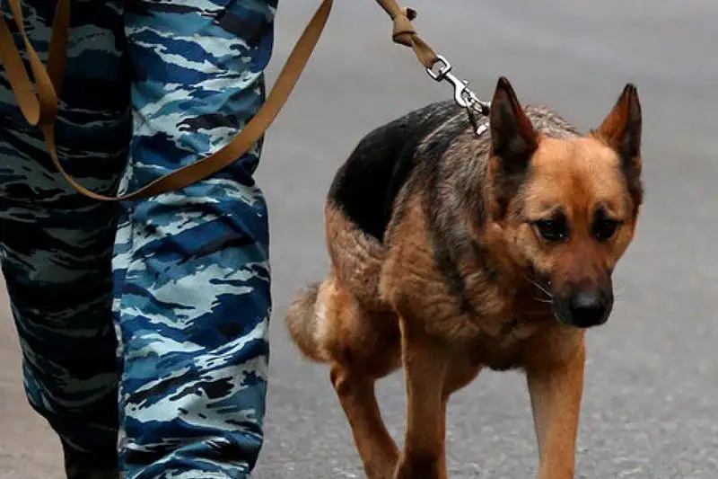 Бомбу искали в торгово-развлекательном центре Шымкента