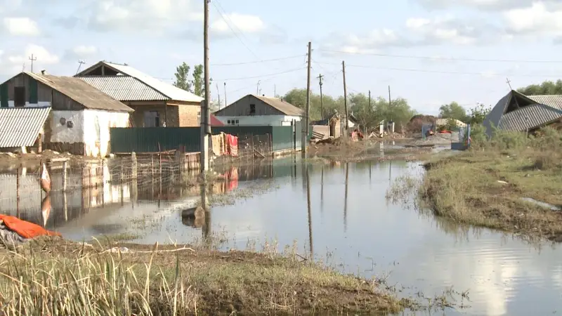 Активисты участвуют в ликвидации последствий подтопления в в Мактааральском районе