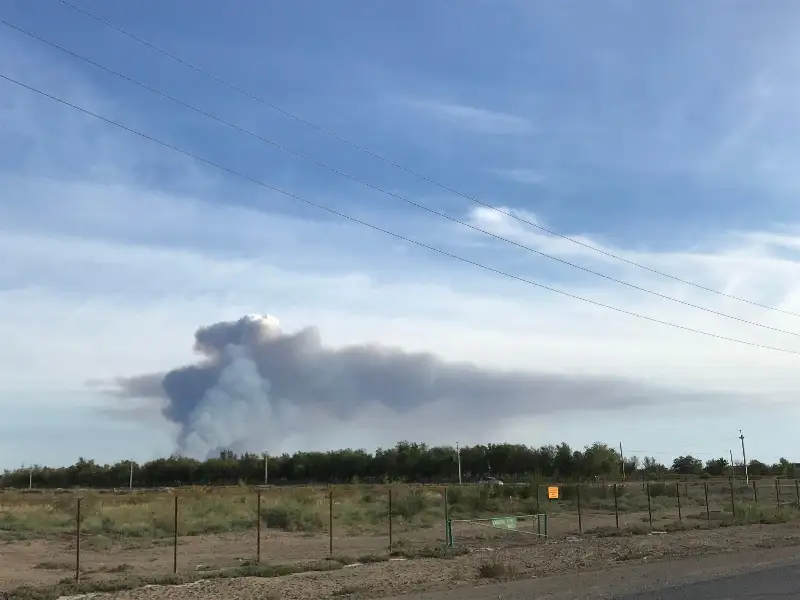 Пожар произошел на побережье Каспия в Атырау