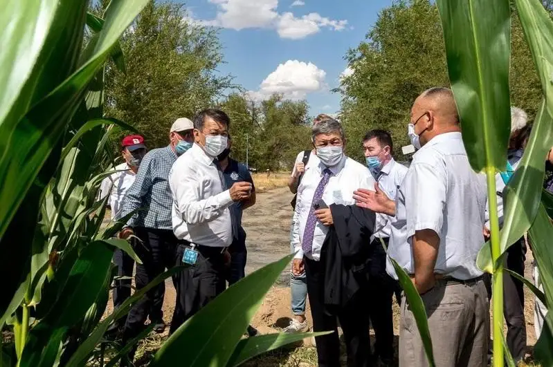Сенаторы намерены помочь жамбылским аграриям решить проблемы с поливной водой