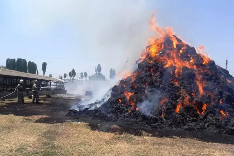 В Жамбылской области ликвидировано загорание сухой травы