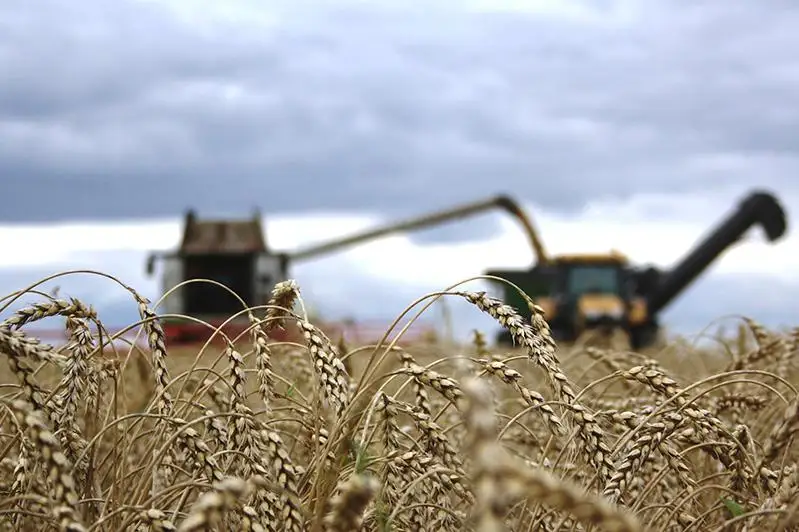 В Казахстане будет создан центр мониторинга, анализа и прогнозирования в АПК