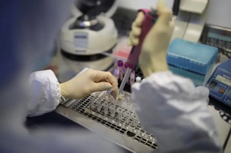 Подробности семи новых случаев COVID-19 рассказали в СКО: все из числа контактных