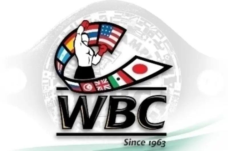 Ряд казахстанских боксеров улучшил положение в рейтинге WBC