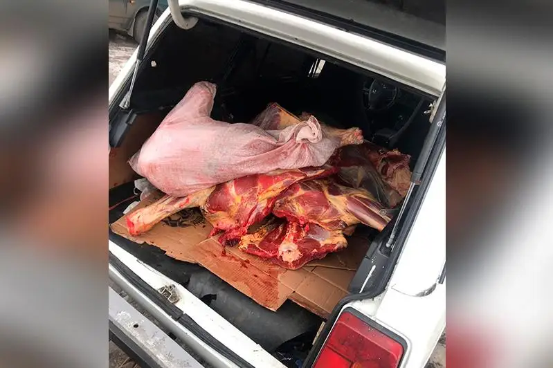 Мясо с поддельной ветсправкой привез на рынок житель СКО