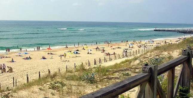 Более 750 кг кокаина вынесло на побережье Франции