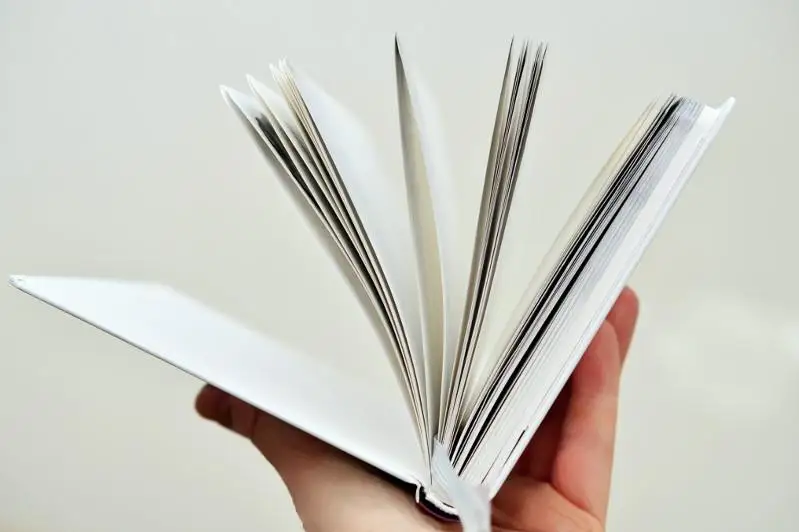 Запрещённая литература изъята в Рудном