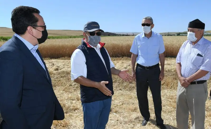 Аким Туркестанской области ознакомился с ходом уборочной кампании в Казыгуртском районе