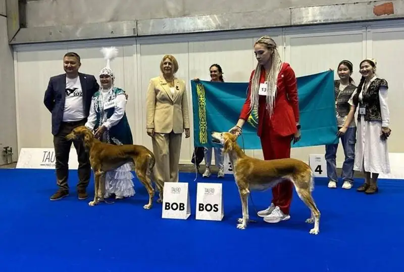 Две казахские тазы завоевали титулы на Чемпионате мира в Швейцарии