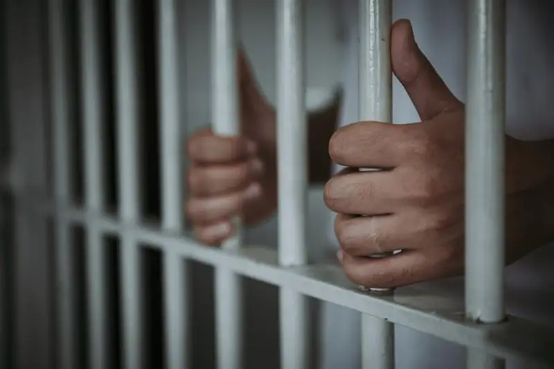 Подозреваемые в 70 фактах мошенничества задержаны в Туркестане