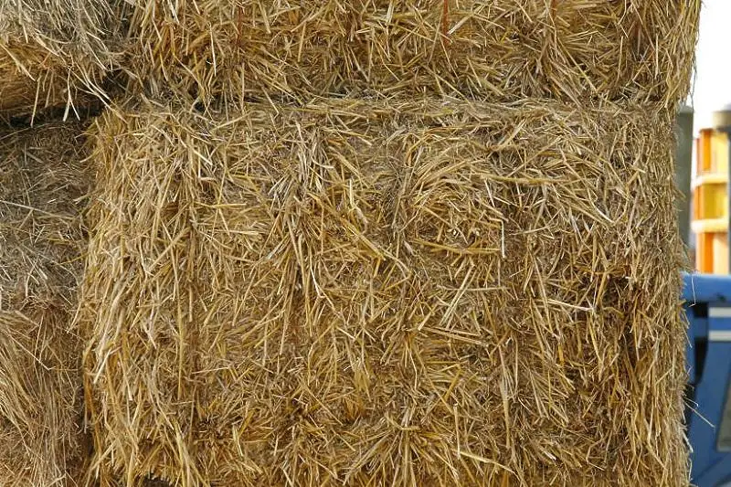 Заменить уголь льняной соломой предлагают в СКО
