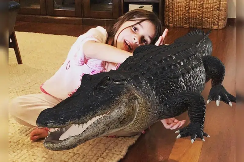 Досуг на карантине: В браузере Google можно увидеть животных в 3D