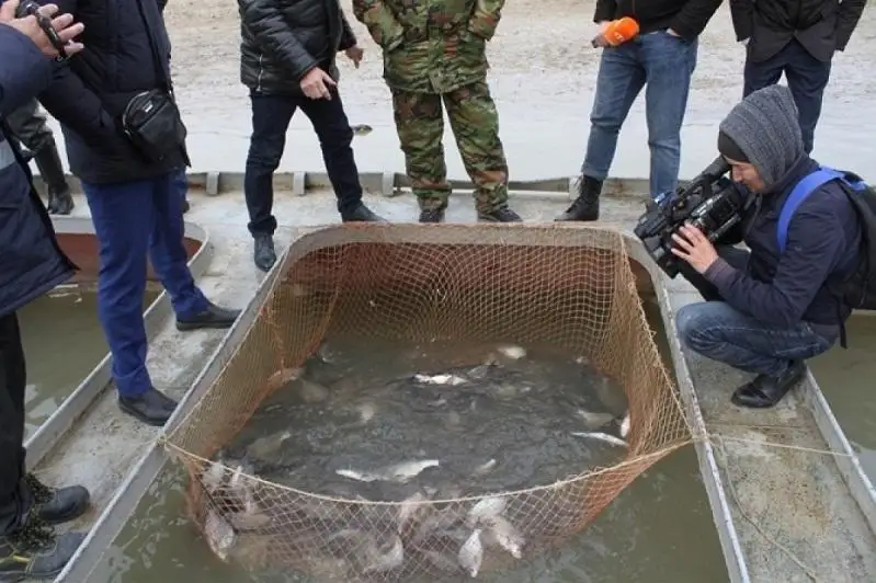 Развитие рыбного хозяйства является одной из приоритетных задач - Махамбет Досмухамбетов